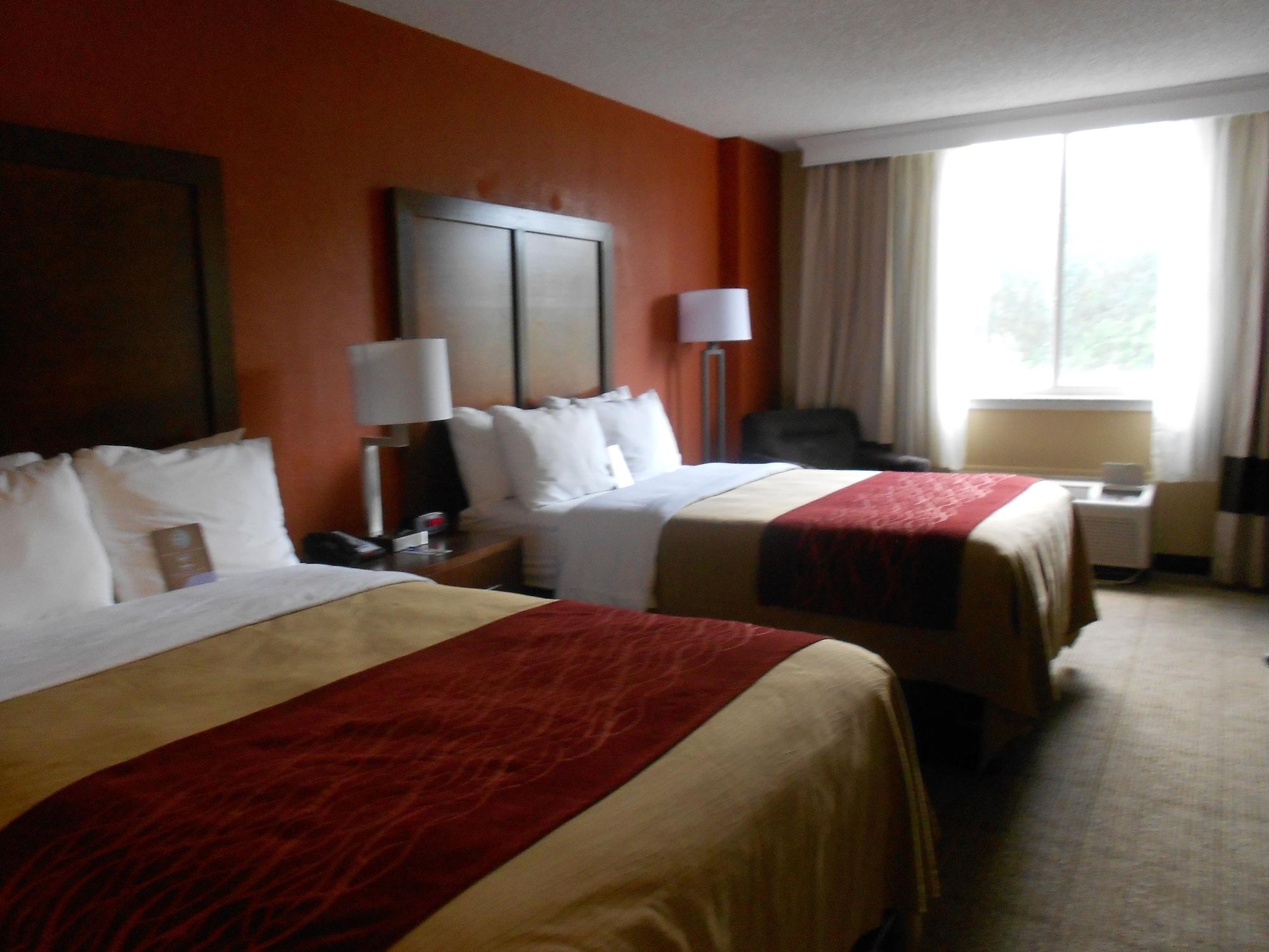 Comfort Inn & Suites Lakeland North I-4 מראה חיצוני תמונה