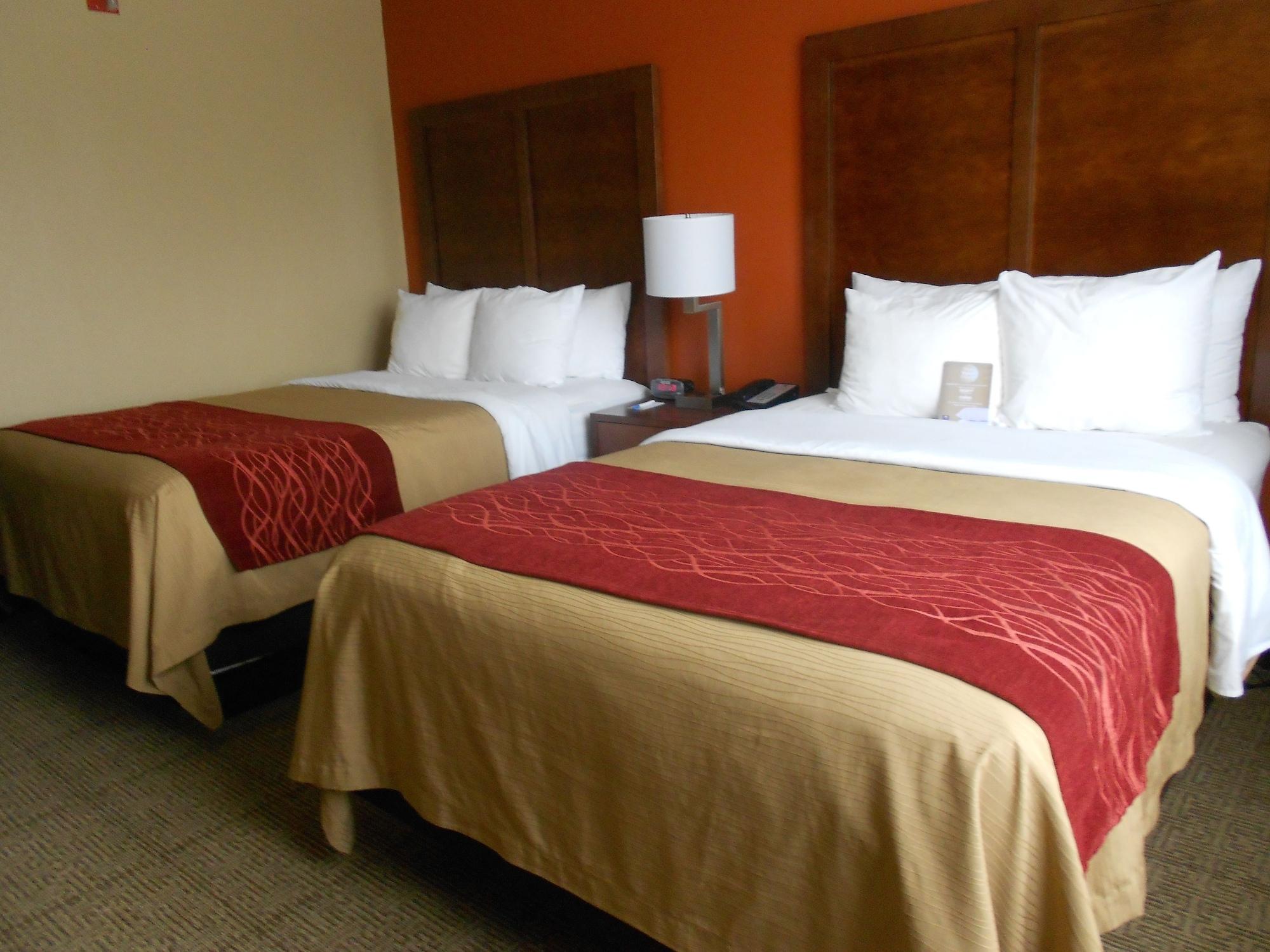 Comfort Inn & Suites Lakeland North I-4 מראה חיצוני תמונה