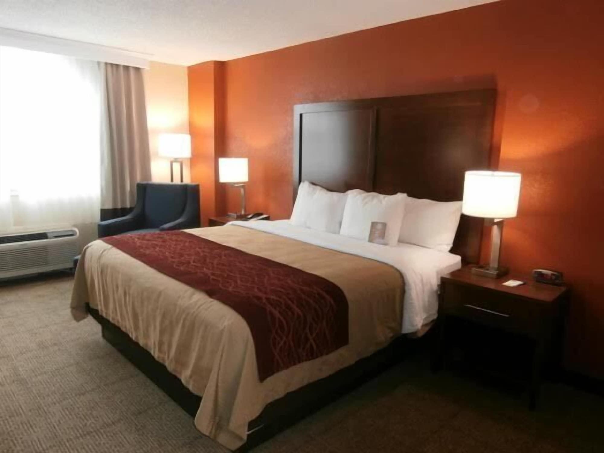 Comfort Inn & Suites Lakeland North I-4 מראה חיצוני תמונה