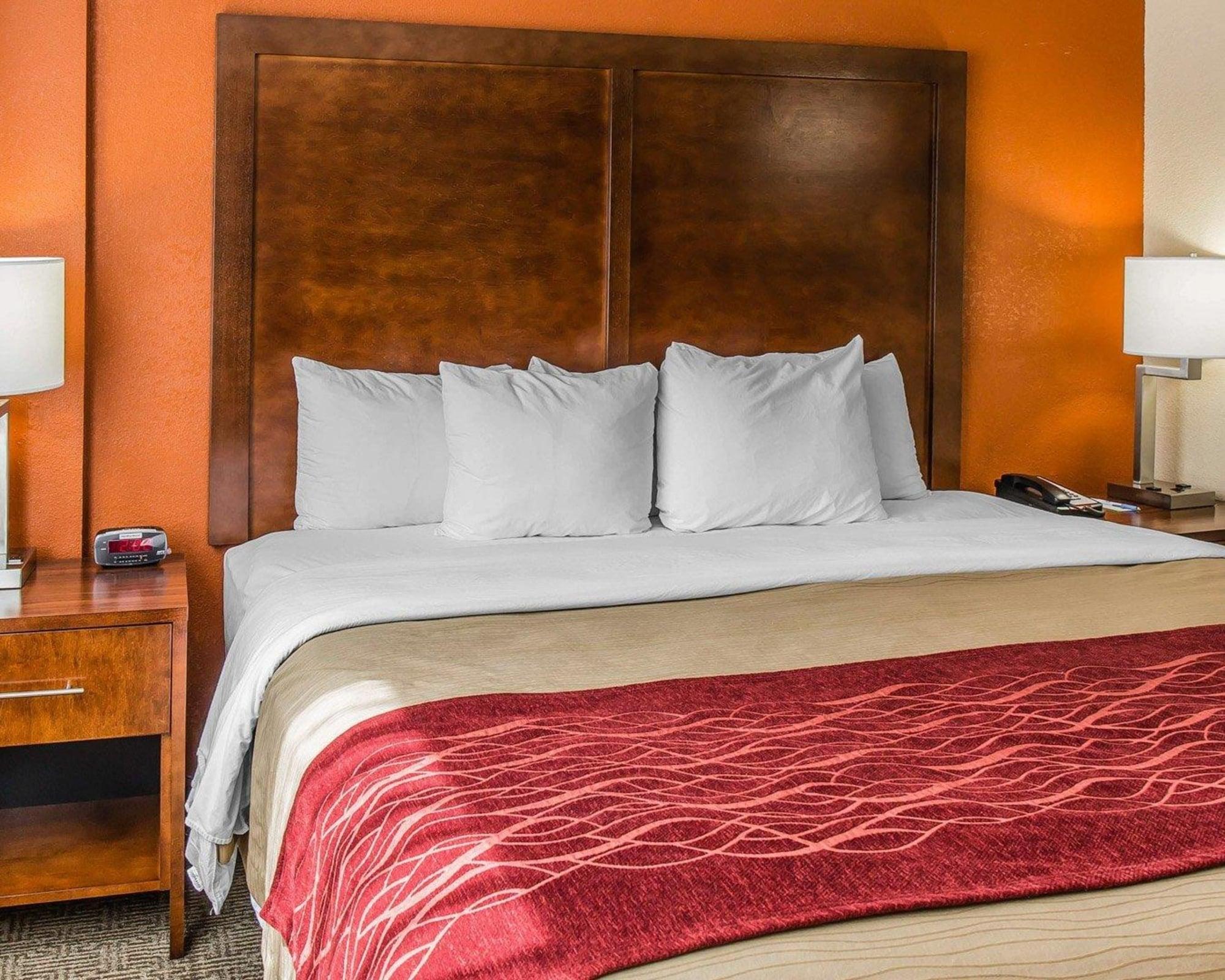 Comfort Inn & Suites Lakeland North I-4 מראה חיצוני תמונה