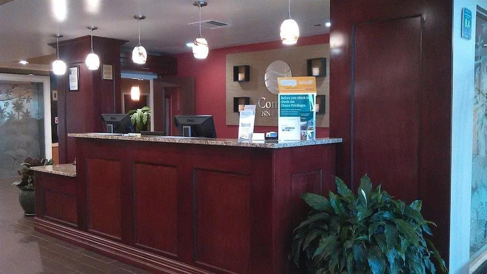 Comfort Inn & Suites Lakeland North I-4 מראה חיצוני תמונה