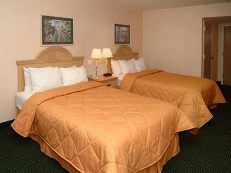 Comfort Inn & Suites Lakeland North I-4 מראה חיצוני תמונה